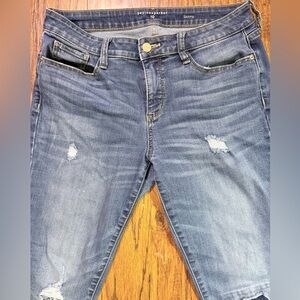 Peyton & Parker Women's Skinny Jeans - Distressed Blue